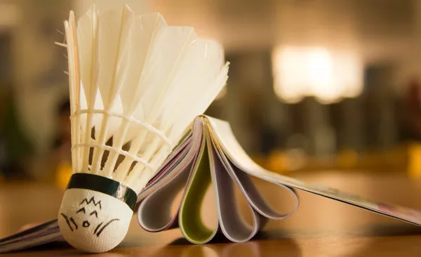 南安普顿VS伊普斯维奇直播官方：南安普顿中场唐斯被禁赛3场，错过与曼城的足总杯半决赛